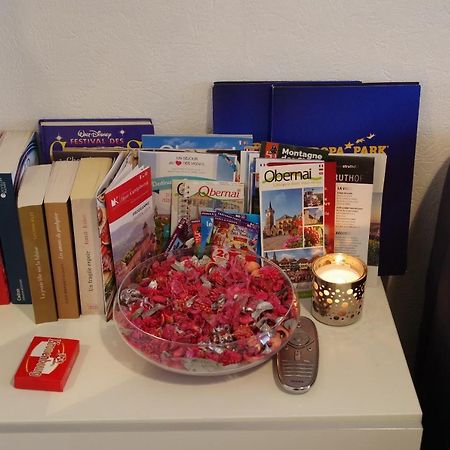 Nid Douillet A Obernai Apartment Bagian luar foto